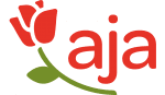 aja
